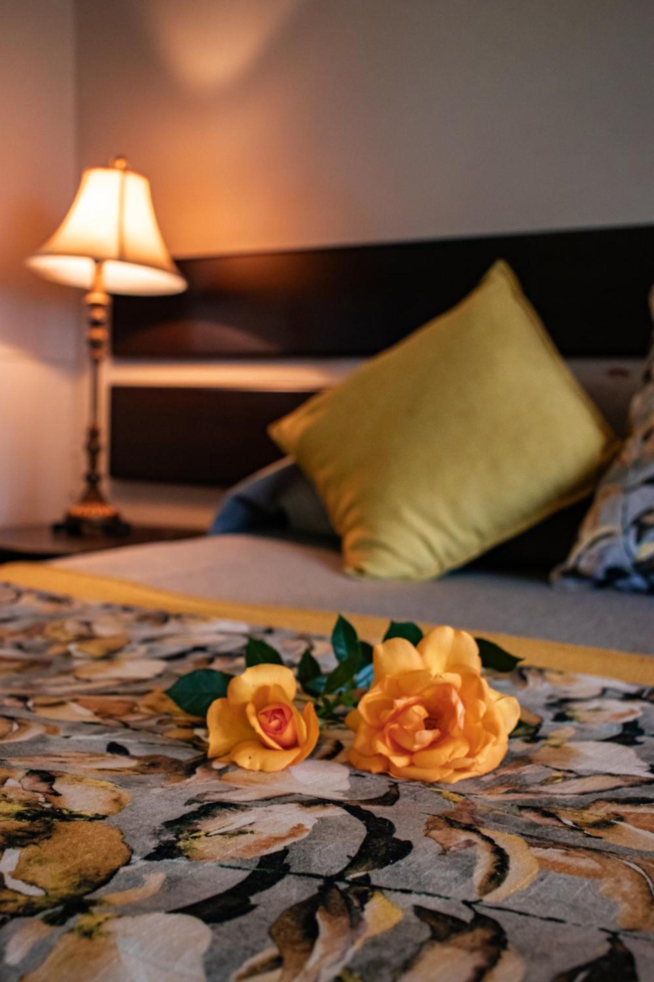 Drakensview Self Catering Apartment Winterton Ngoại thất bức ảnh